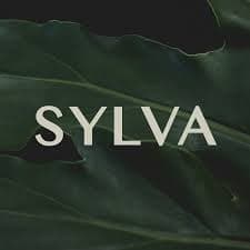 SYLVA CLINIC CO., LTD. logo