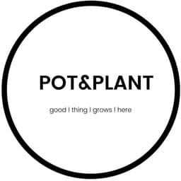 Pot and Plant Bangkok logo
