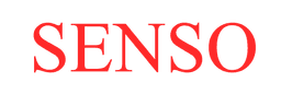 SENSO CORPORATION logo
