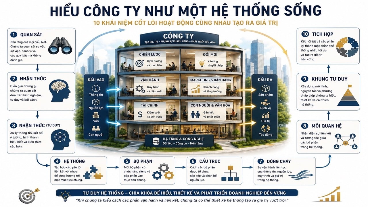 HIỂU DOANH NGHIỆP NHƯ MỘT HỆ THỐNG SỐNG