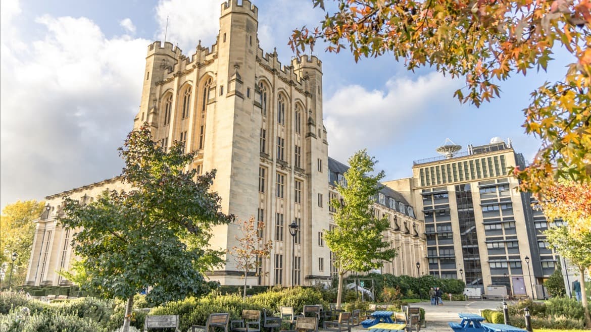 MSc Business Innovation and Entrepreneurship