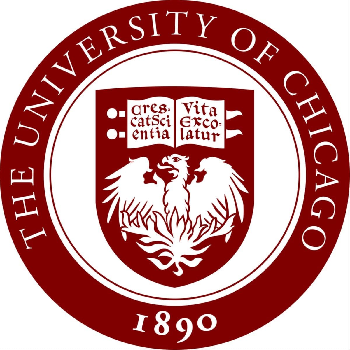 The University of Chicago